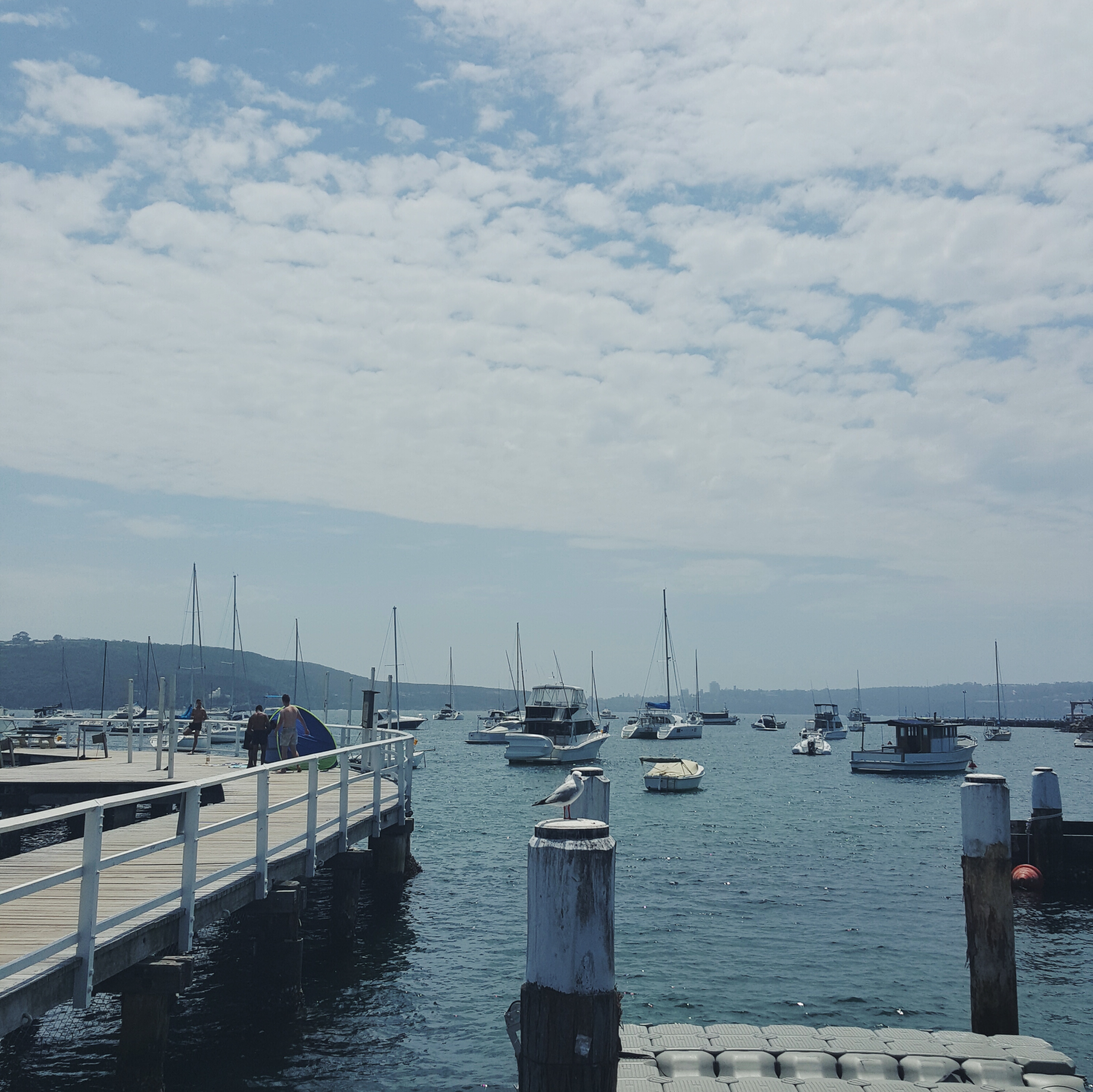 2016-11-24 10.57.49 3.jpg