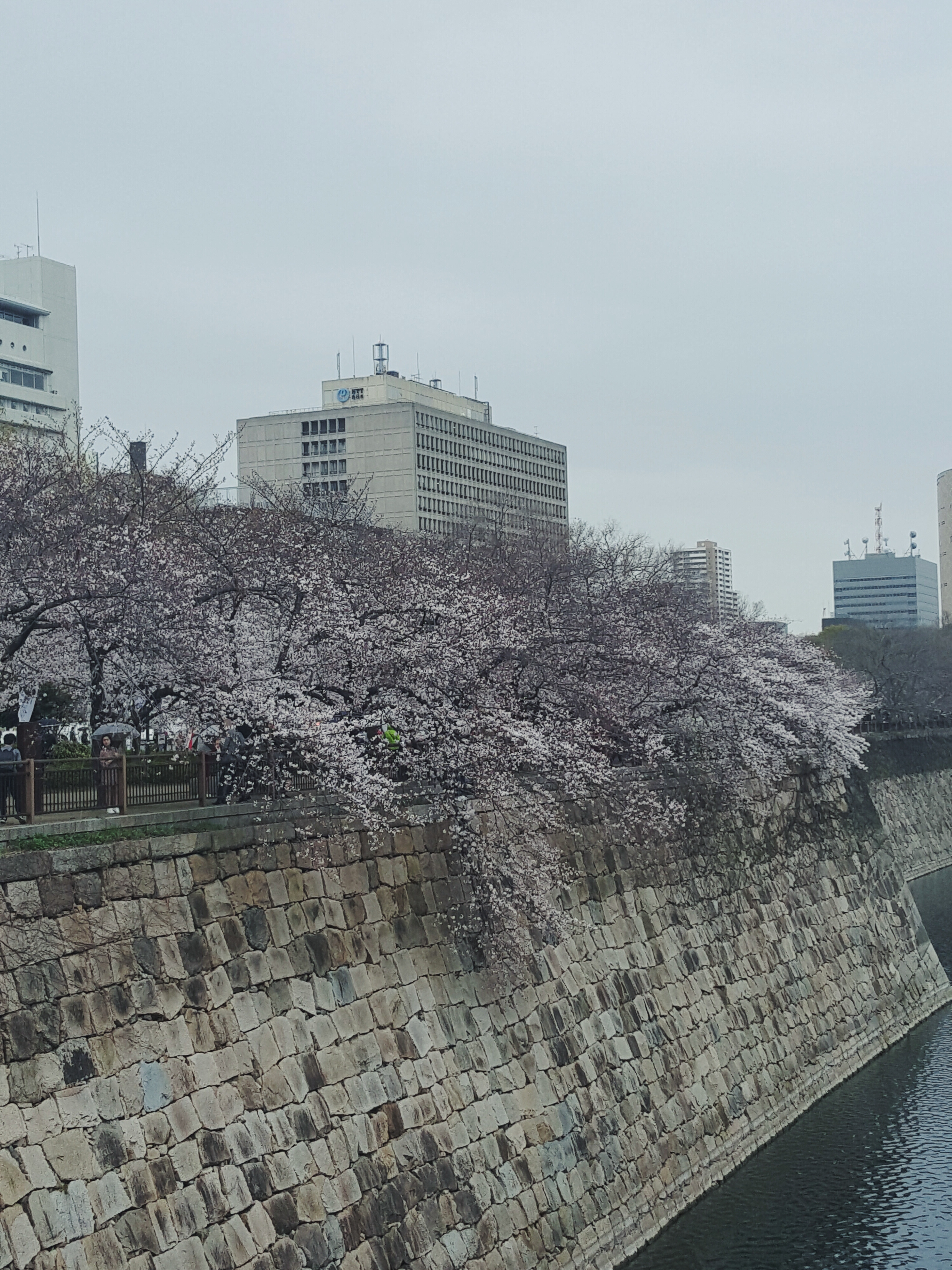 Processed with VSCO with f2 preset