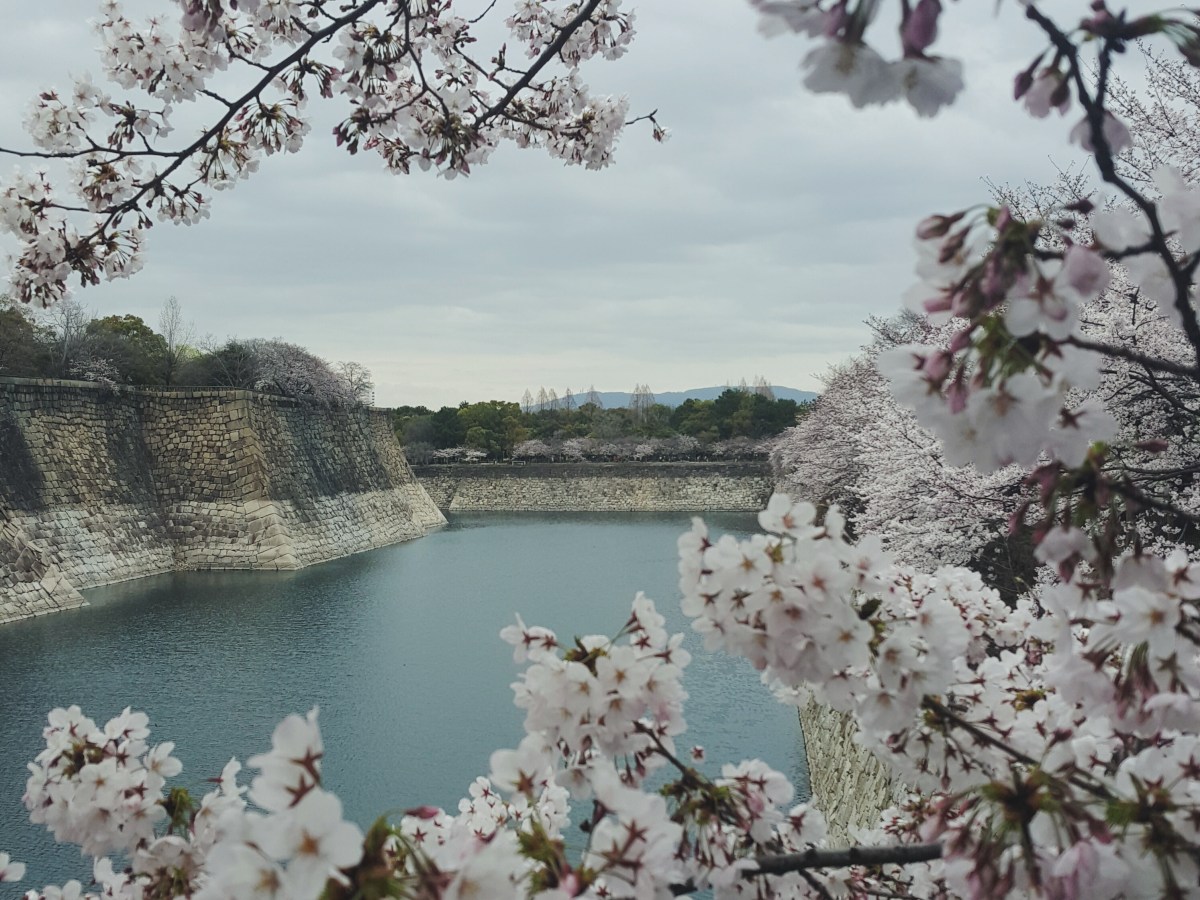 Osaka | Japan