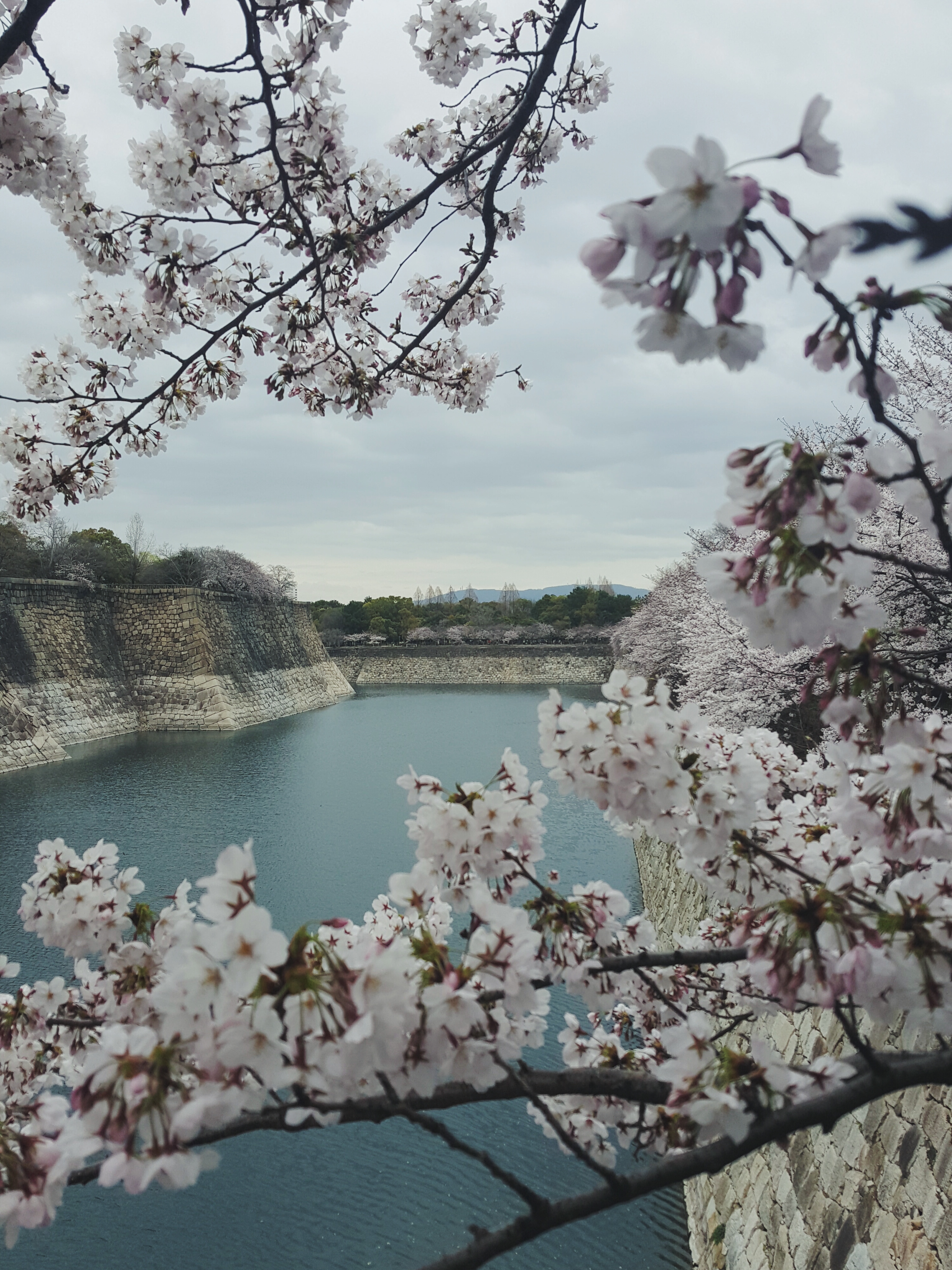 Processed with VSCO with f2 preset