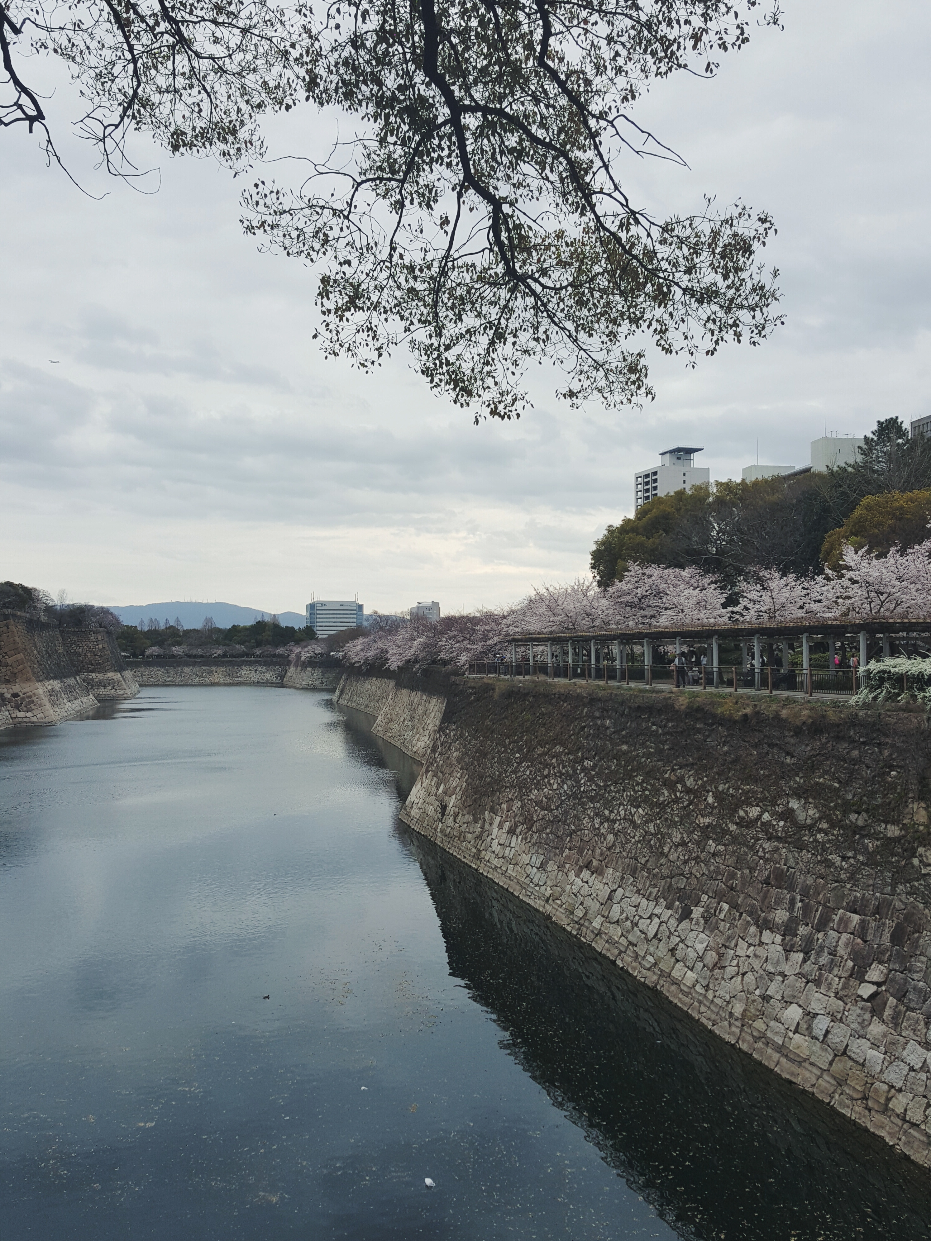 Processed with VSCO with f2 preset