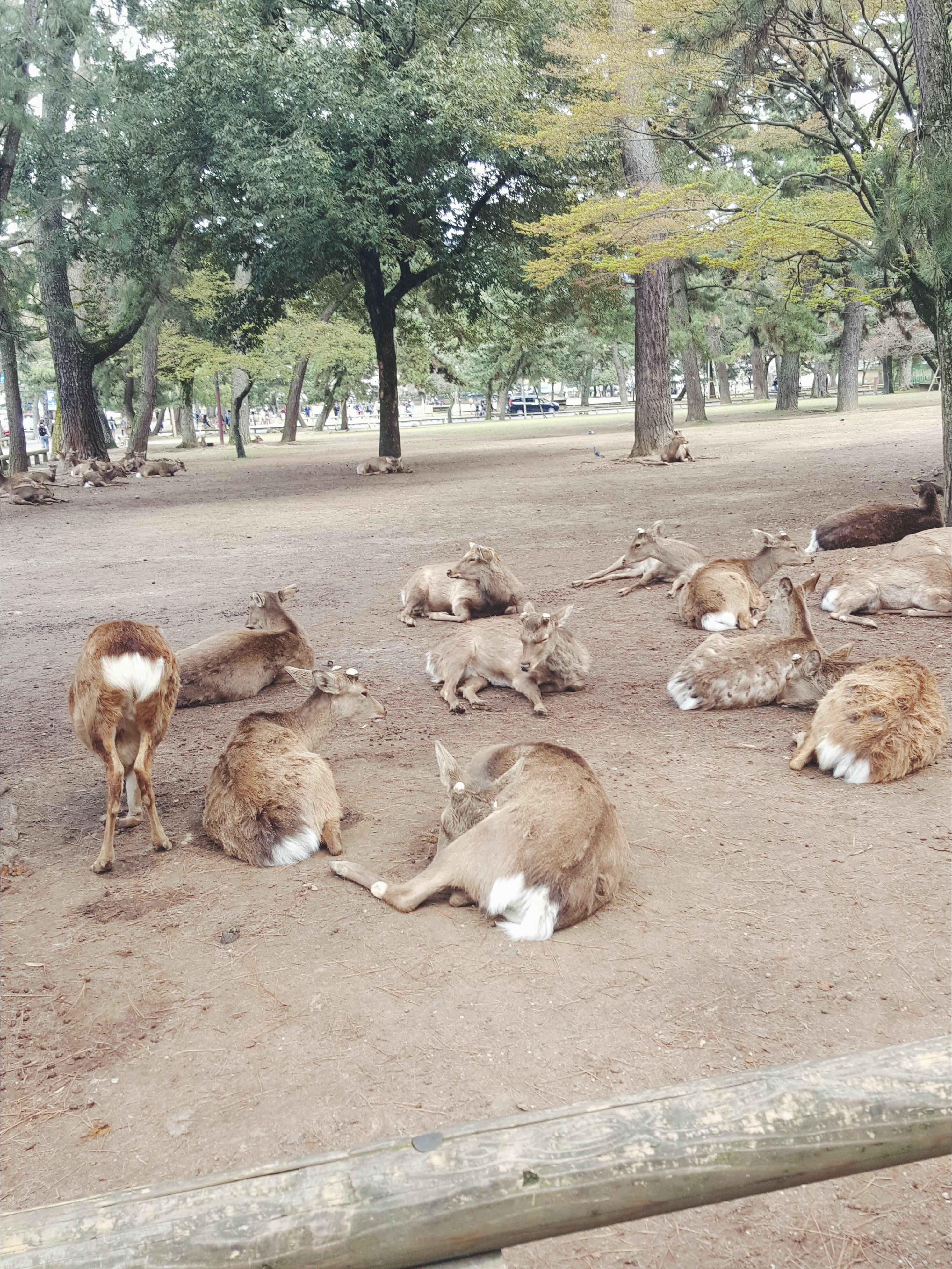 Processed with VSCO with f2 preset