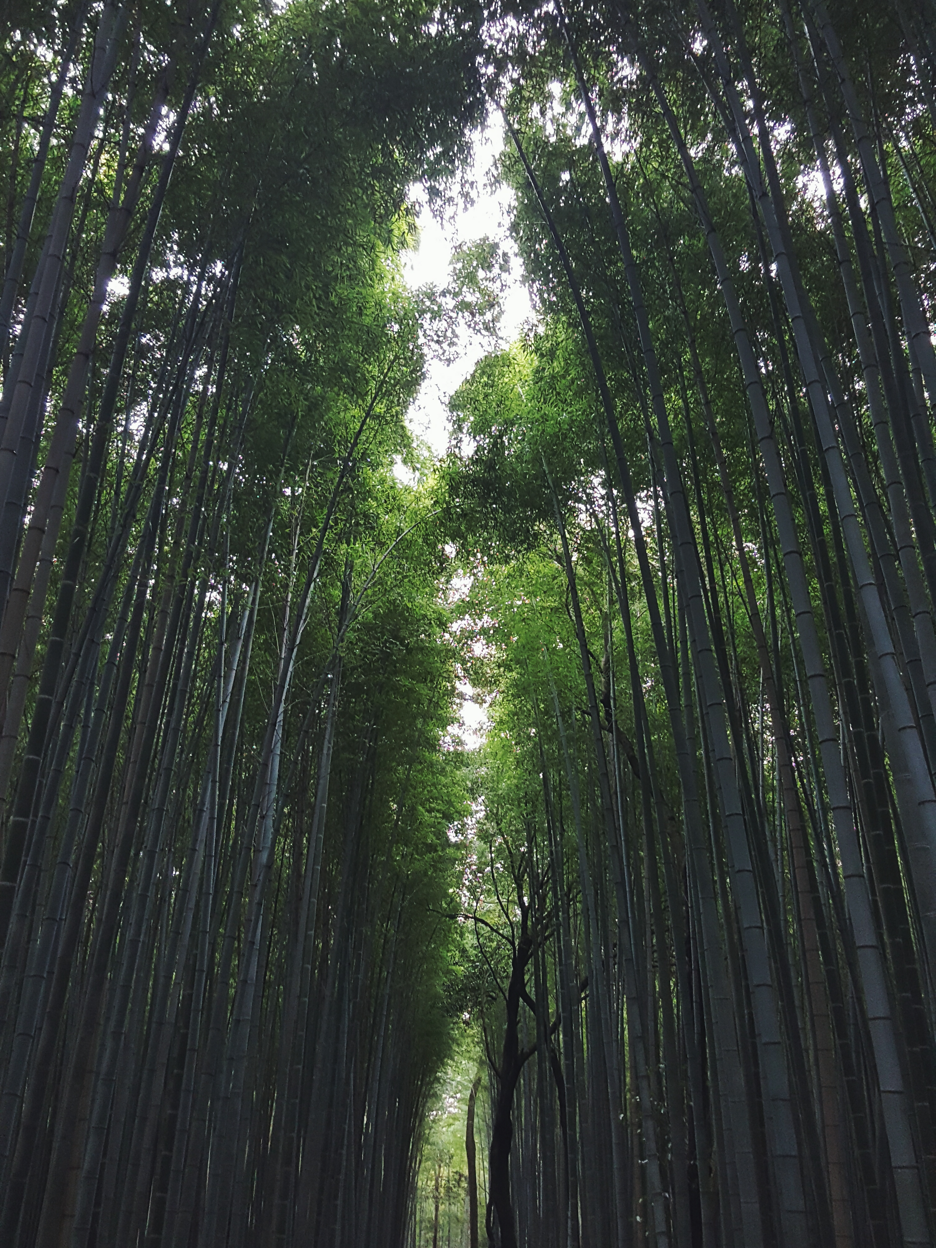 Processed with VSCO with f2 preset