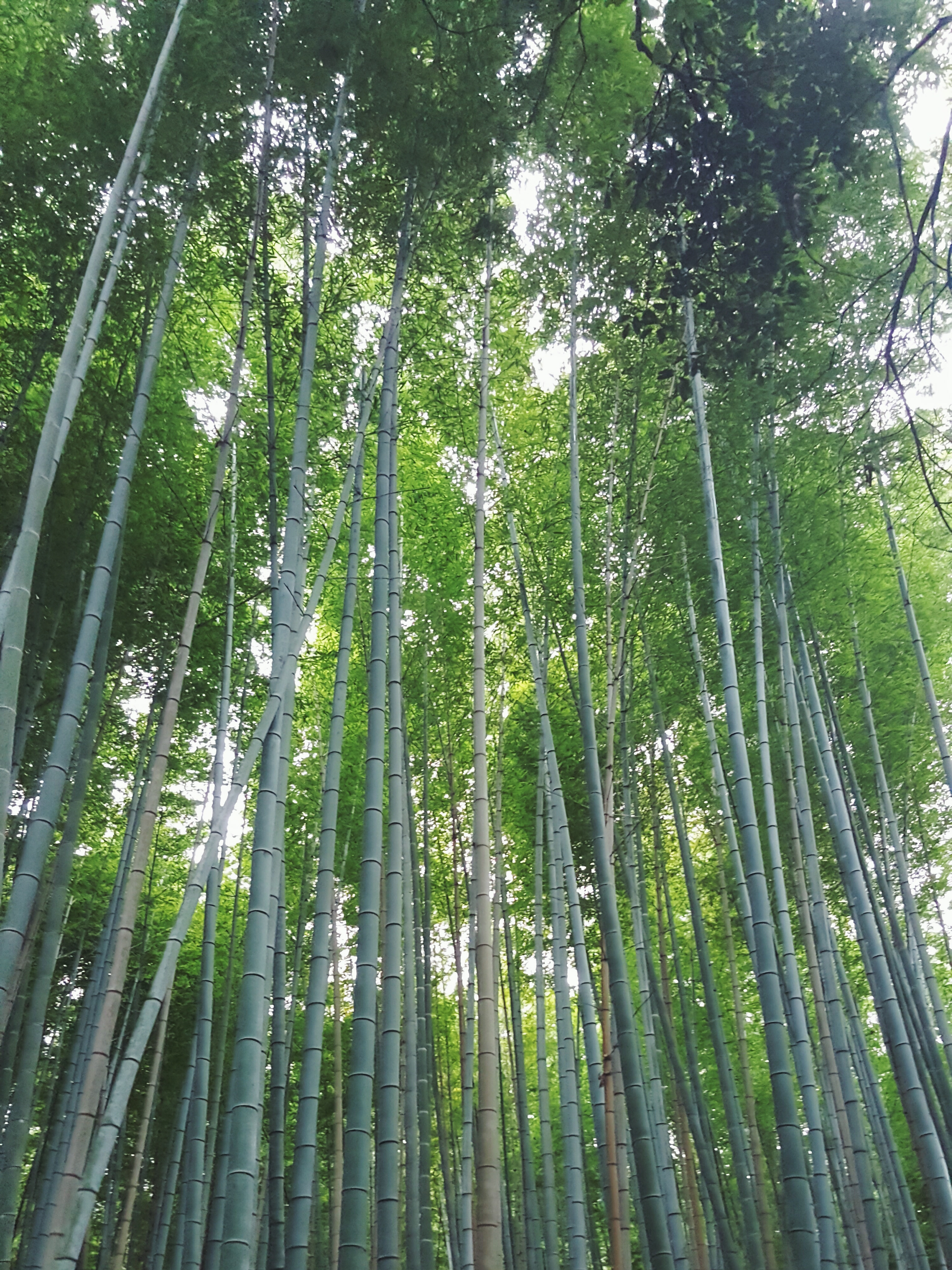 Processed with VSCO with f2 preset