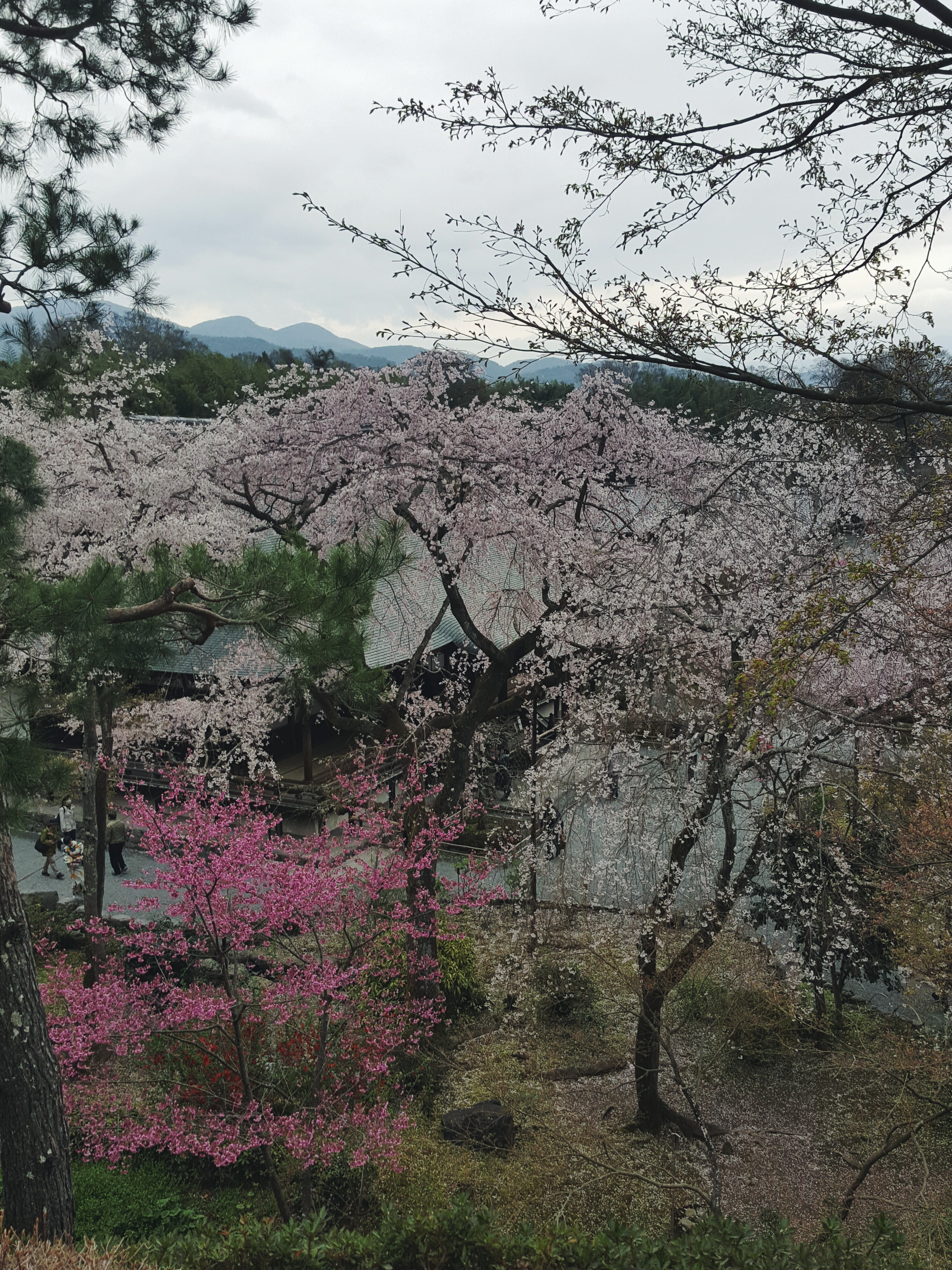 Processed with VSCO with f2 preset