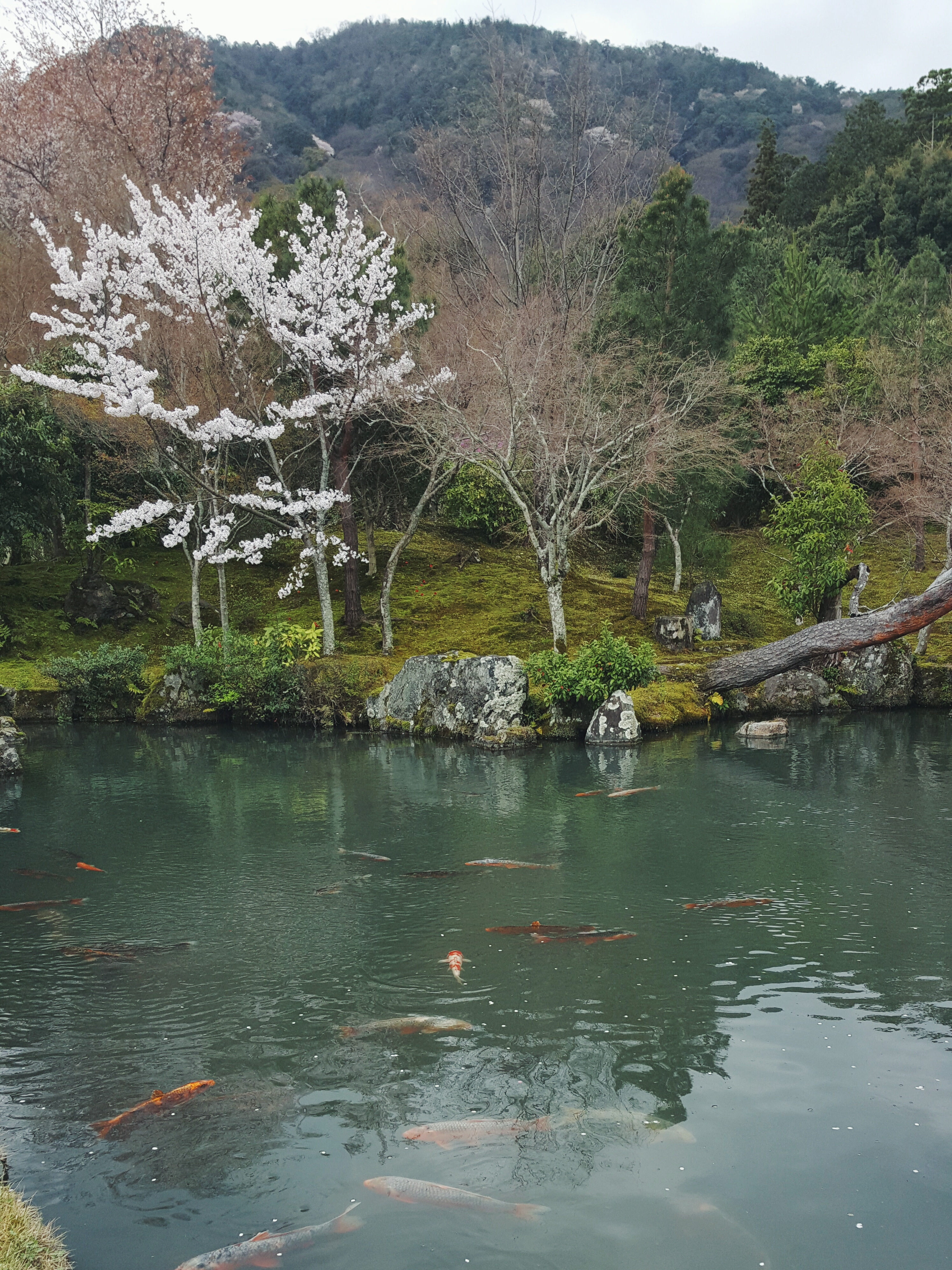 Processed with VSCO with f2 preset