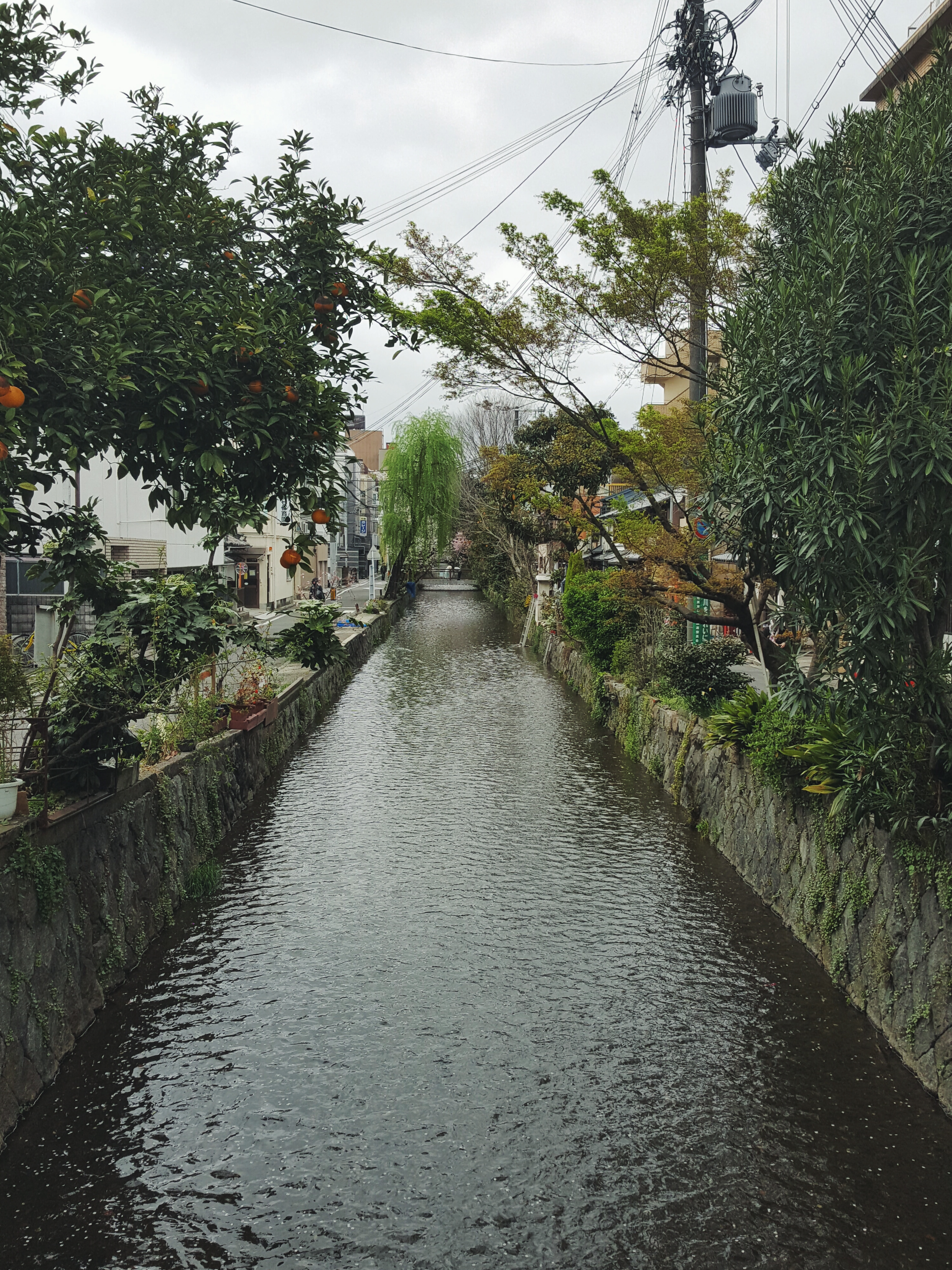 Processed with VSCO with f2 preset