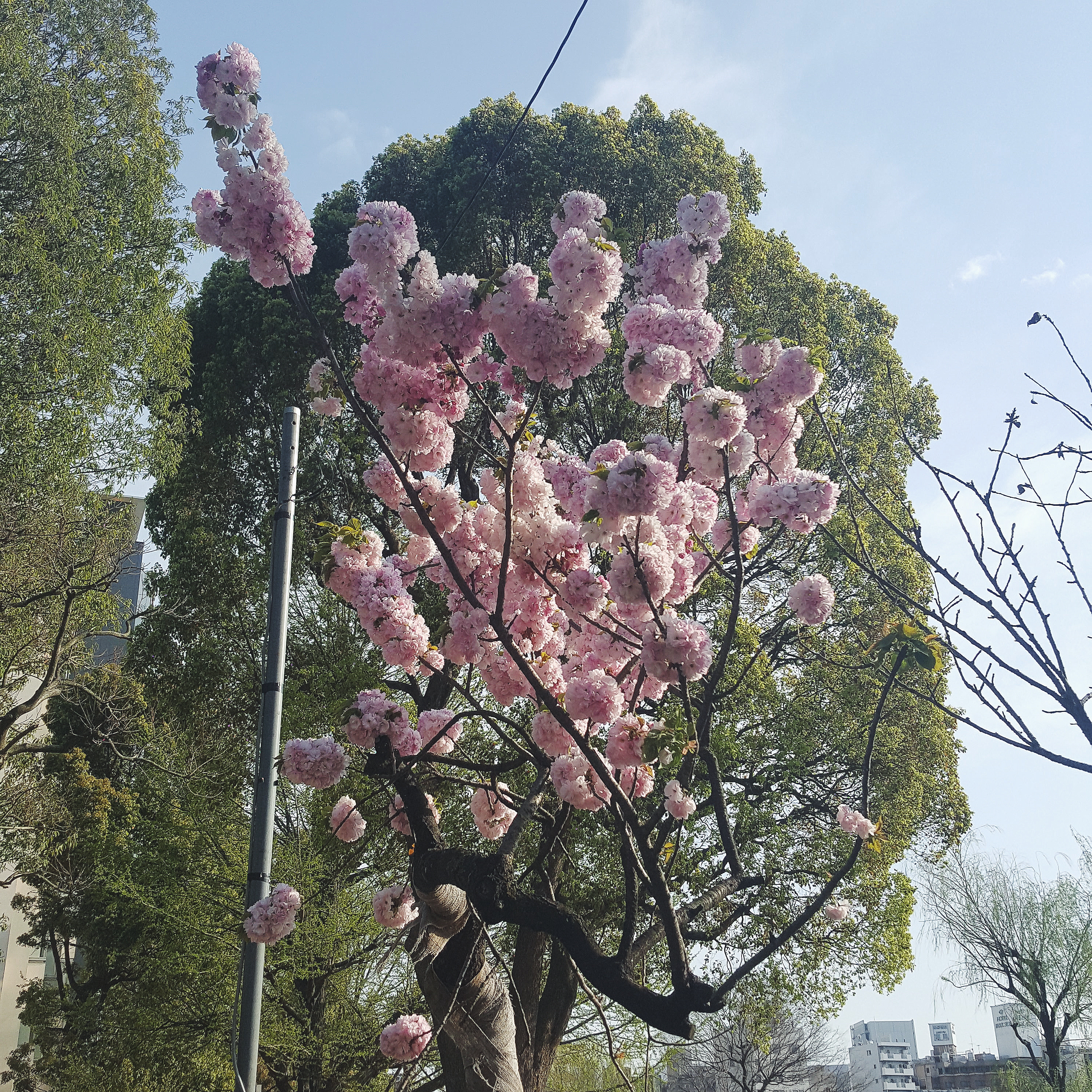 Processed with VSCO with f2 preset