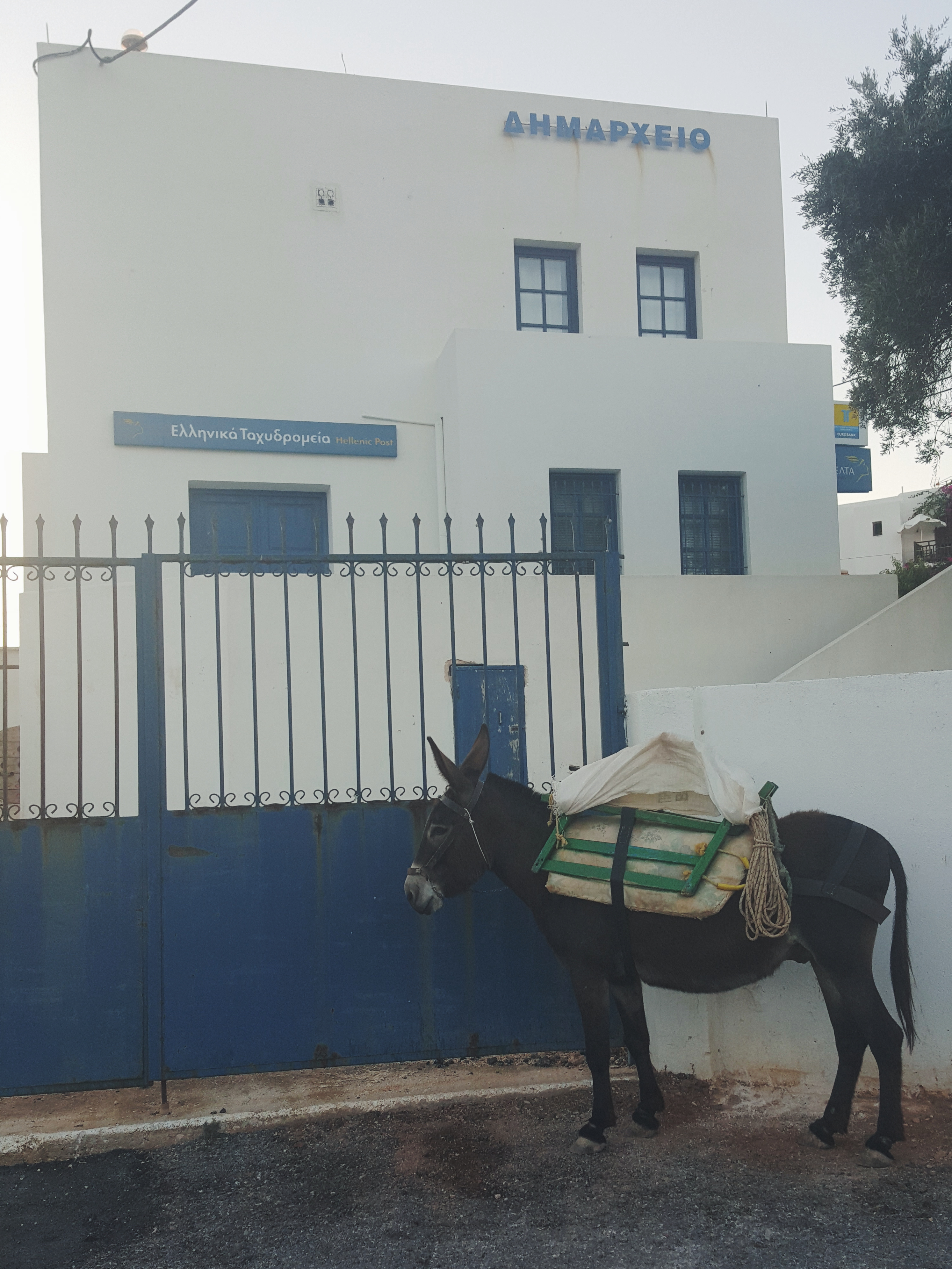 Processed with VSCO with f2 preset