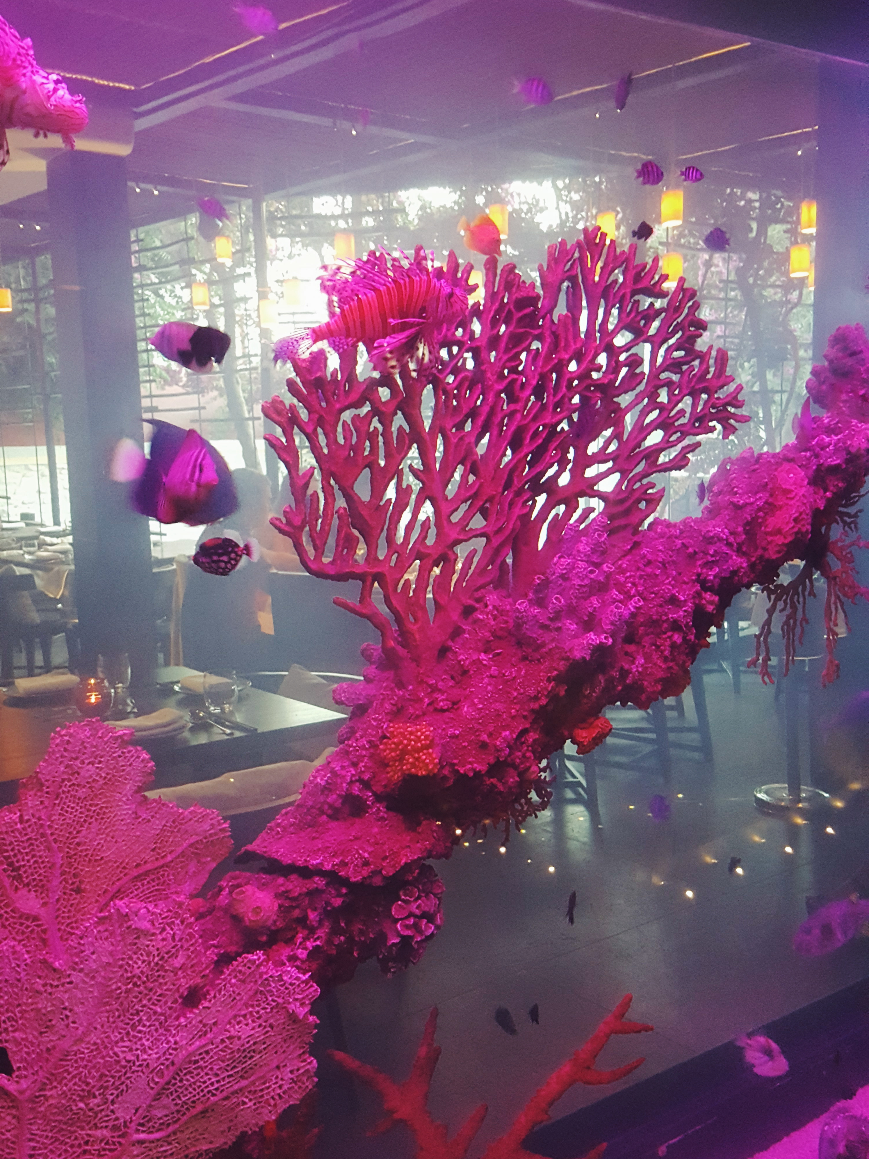 Processed with VSCO with f2 preset