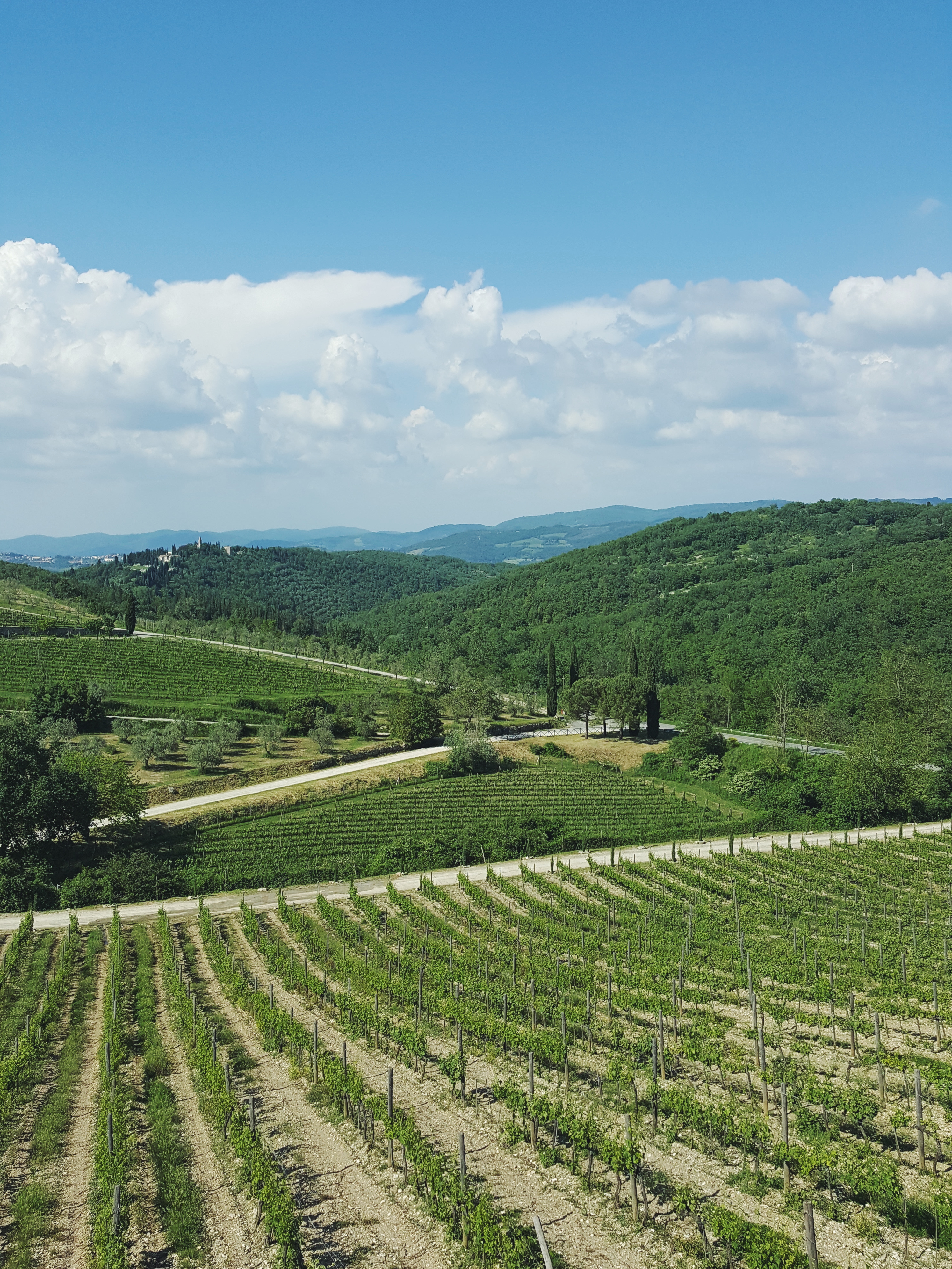 Processed with VSCO with f2 preset