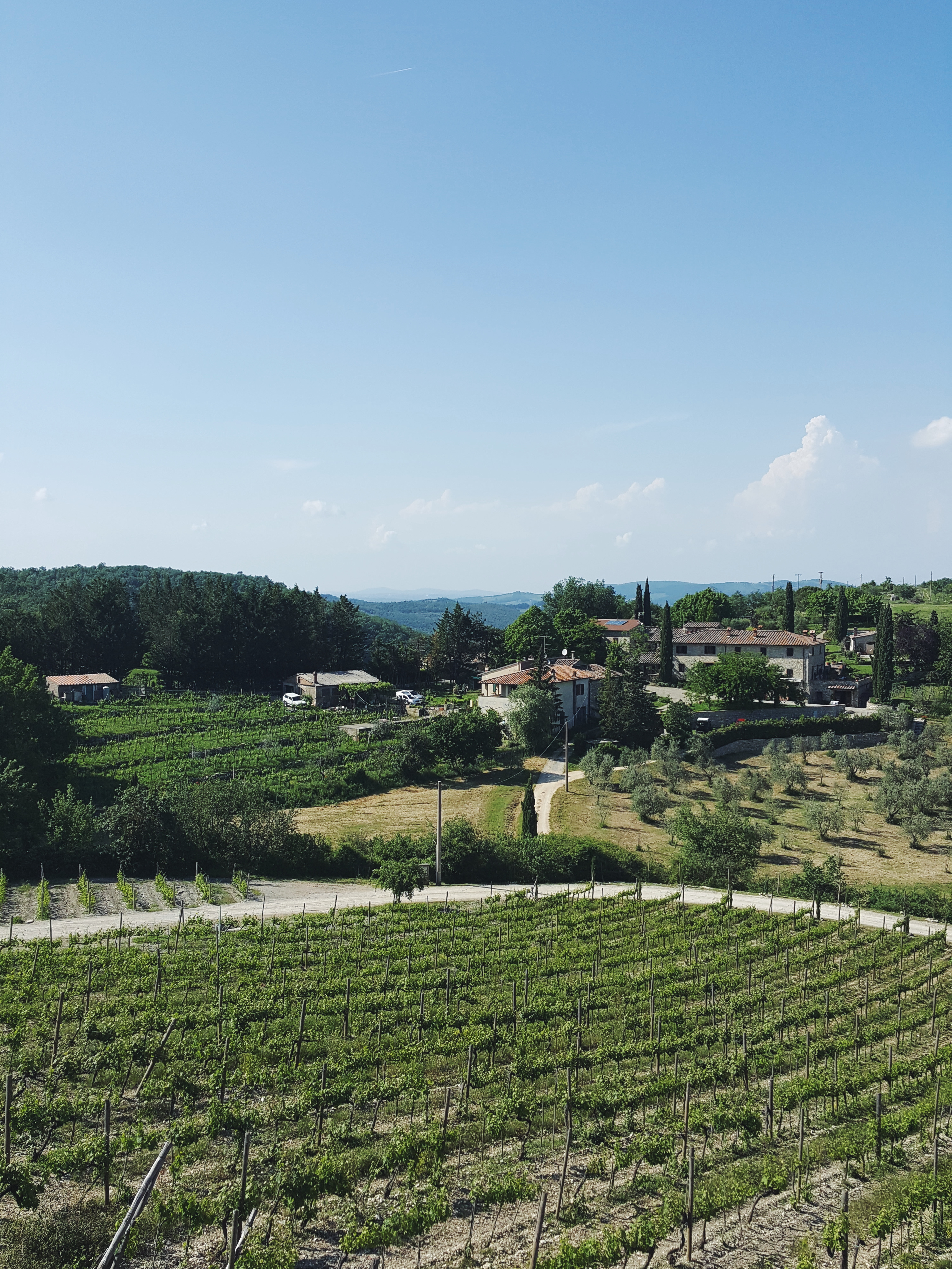 Processed with VSCO with f2 preset