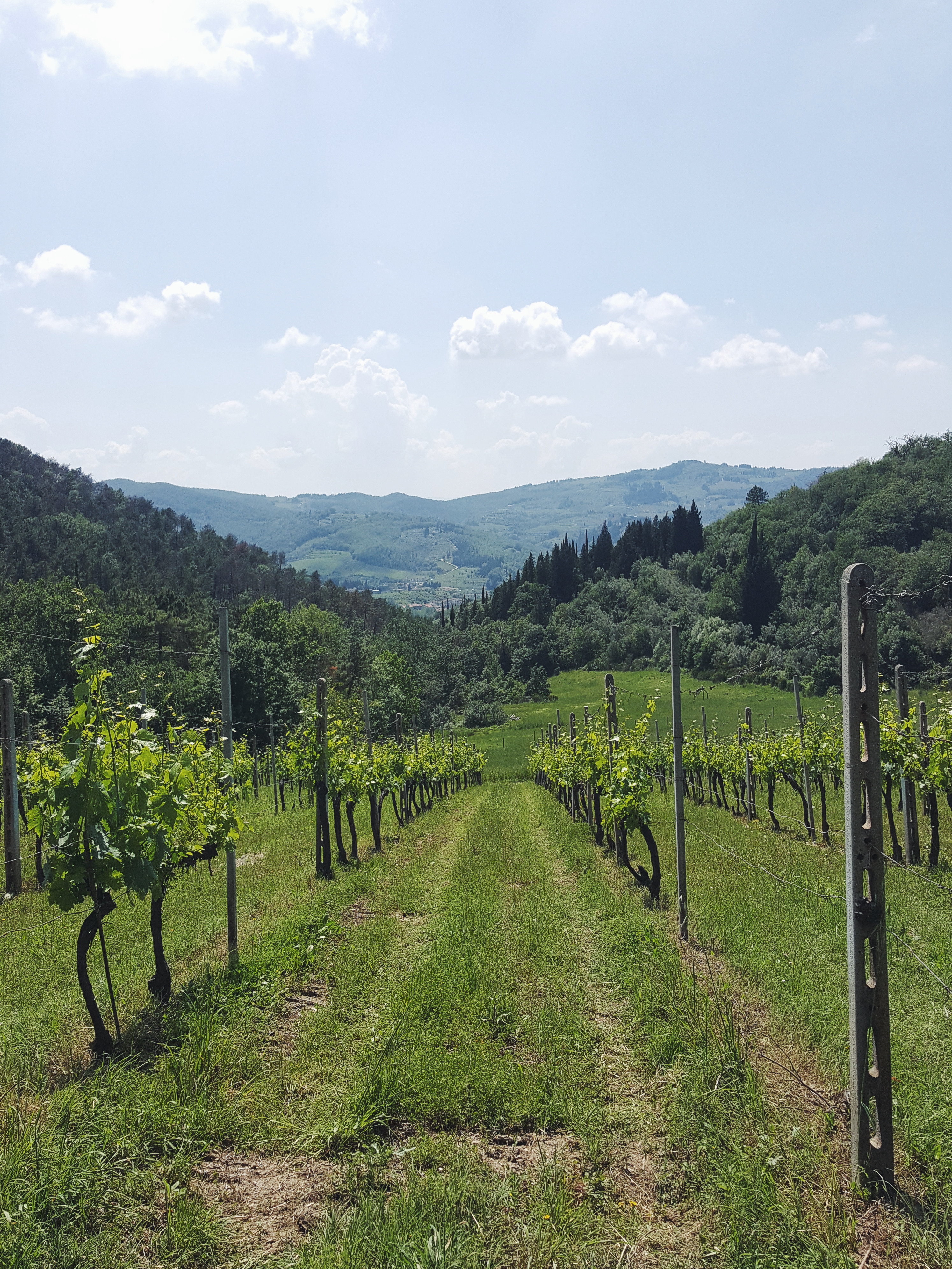 Processed with VSCO with f2 preset