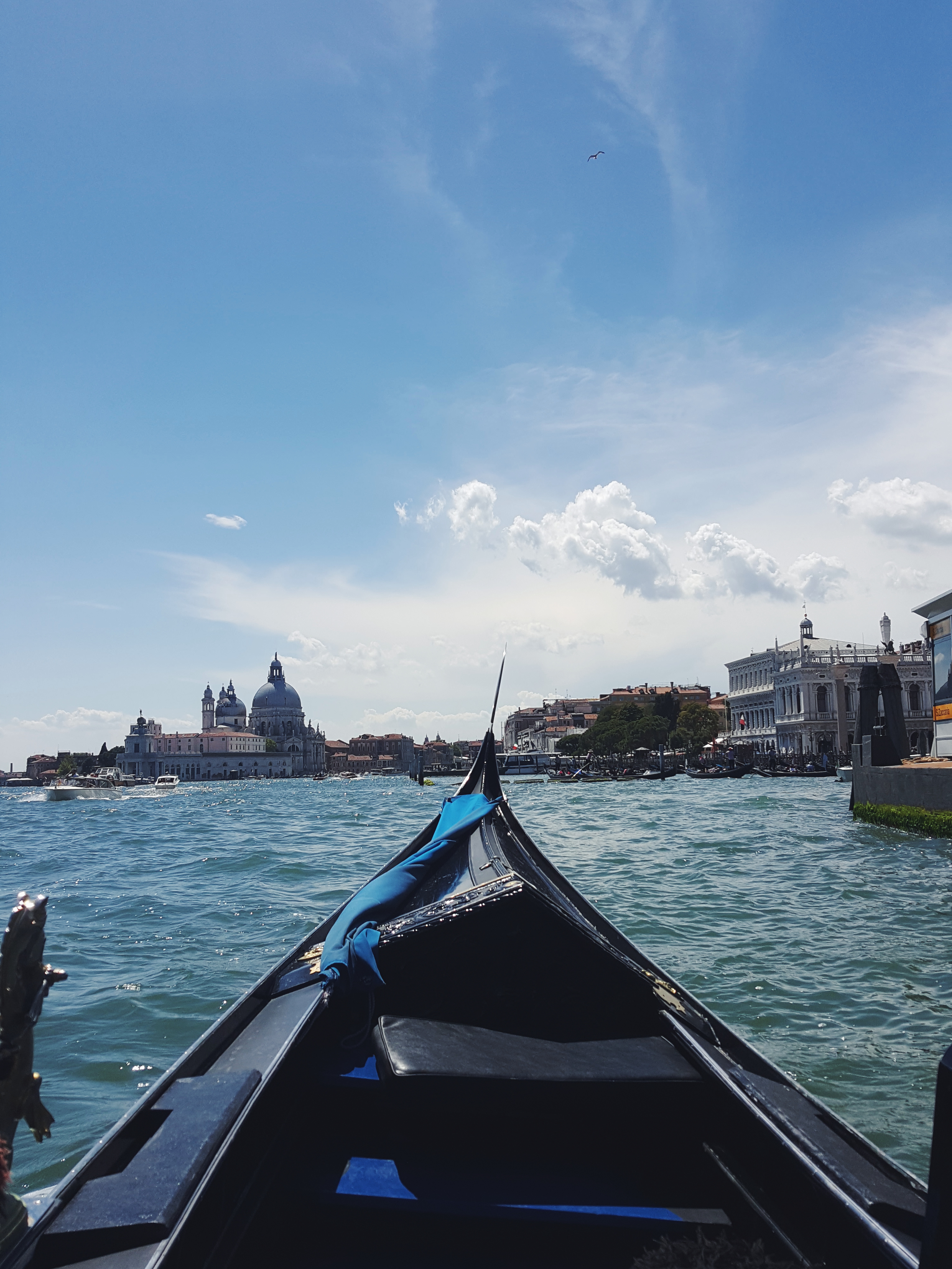 Processed with VSCO with f2 preset